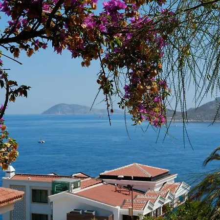 Kaktus Ada * Kaş